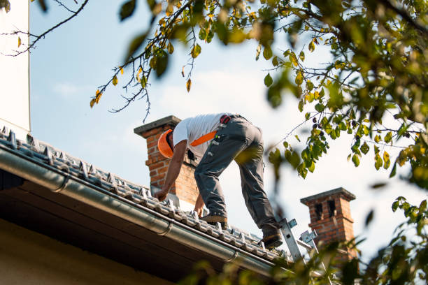 Best Sealant for Roof  in Stockbridge, MI