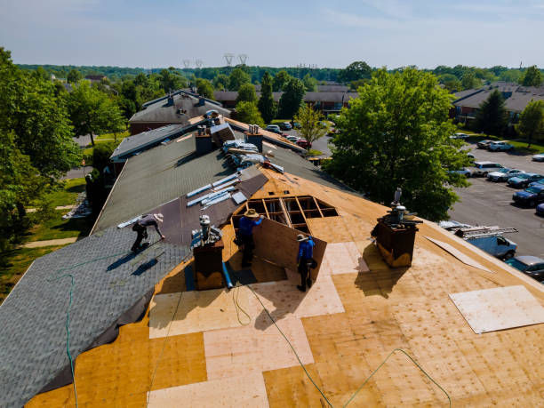 Roof Gutter Cleaning in Stockbridge, MI