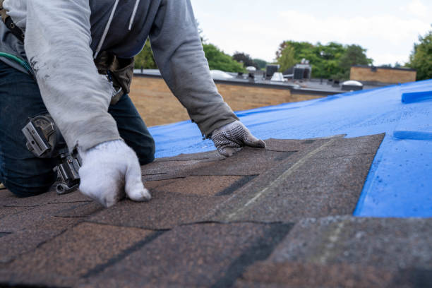 Best Best Roofing Contractors  in Stockbridge, MI