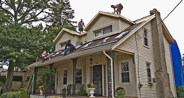 Best Roof Maintenance Services  in Stockbridge, MI