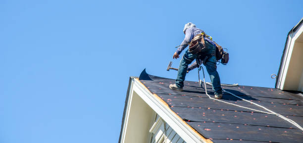 Best Roofing Contractor Near Me  in Stockbridge, MI